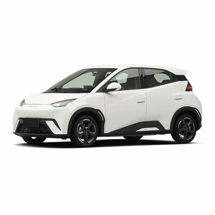 BYD Seagull A00-level electric vehicle Haiou