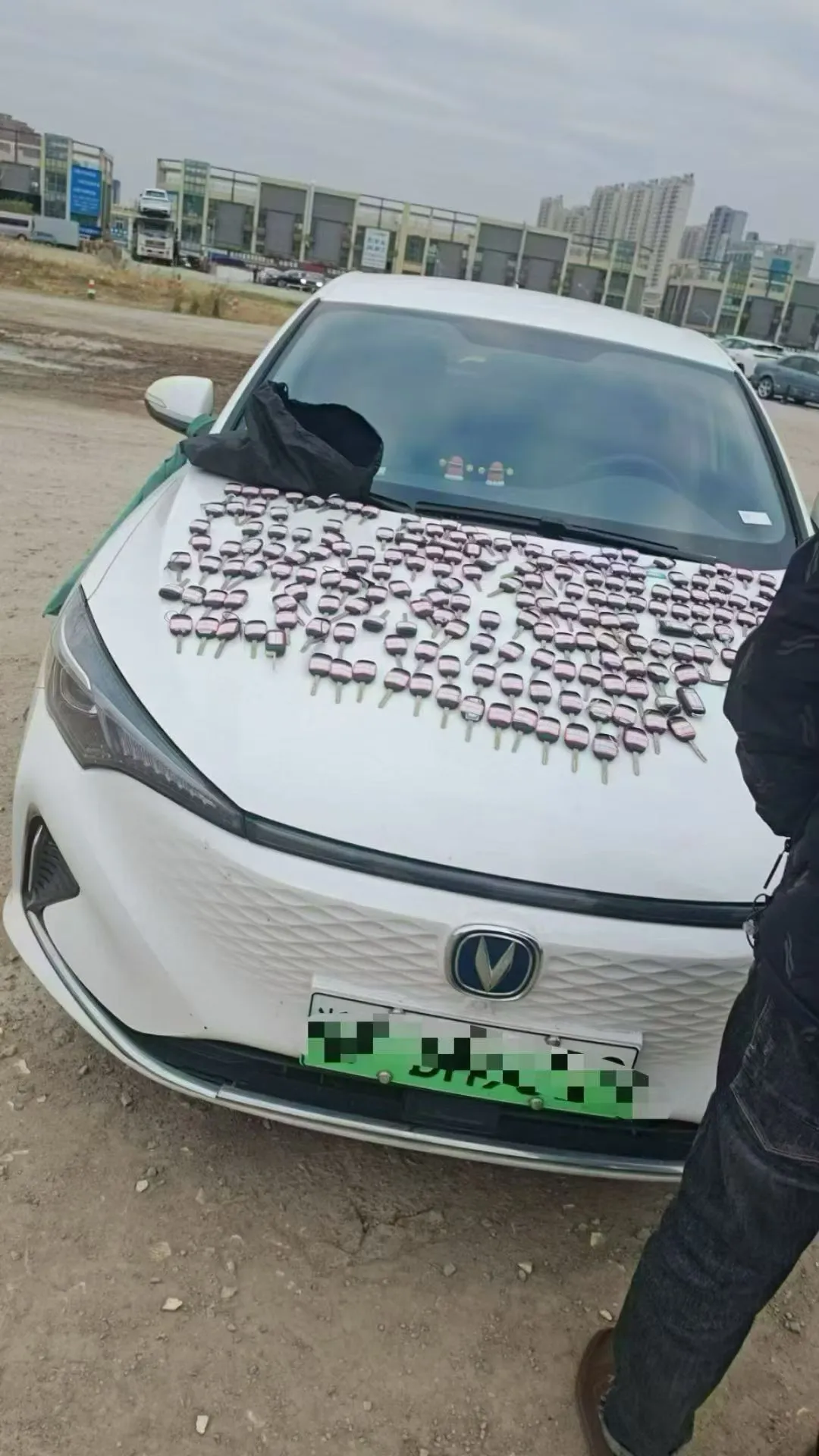 2021 Changan Eado EV460