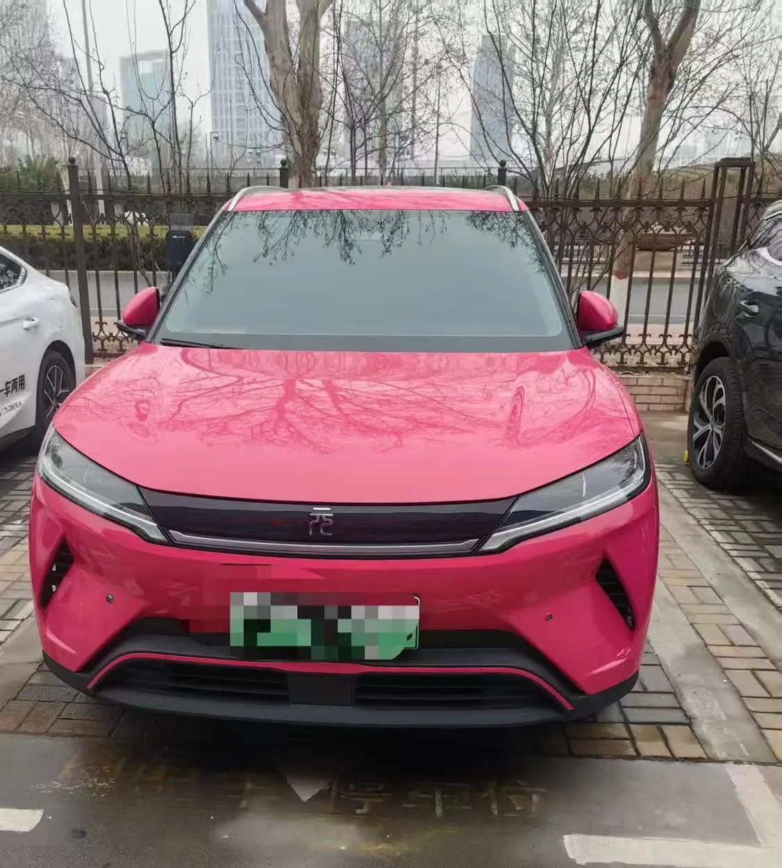 2025 Smart Driving Edition Yuan UP 401km Beyond Version