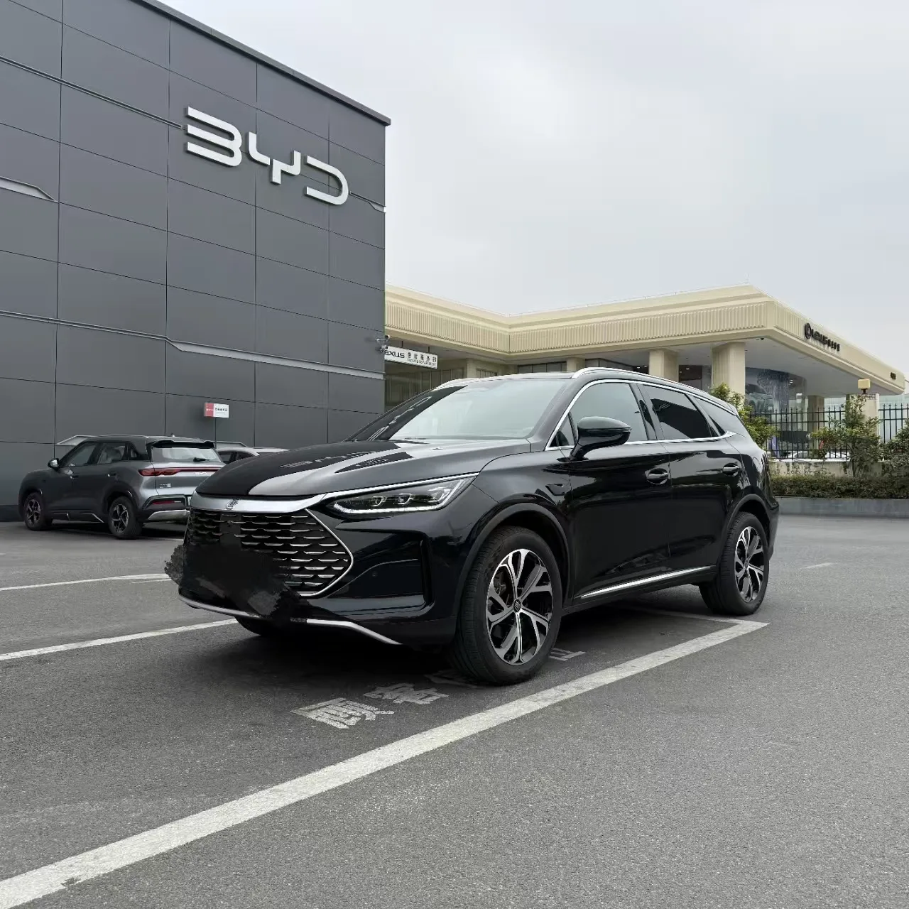 2025 Tang DM-i 115 Flagship Edition